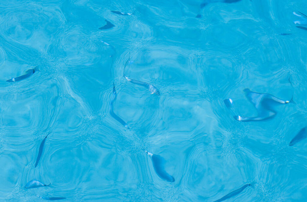 水の中の魚。青い澄んだ海。透明な水の質感. - 写真・画像