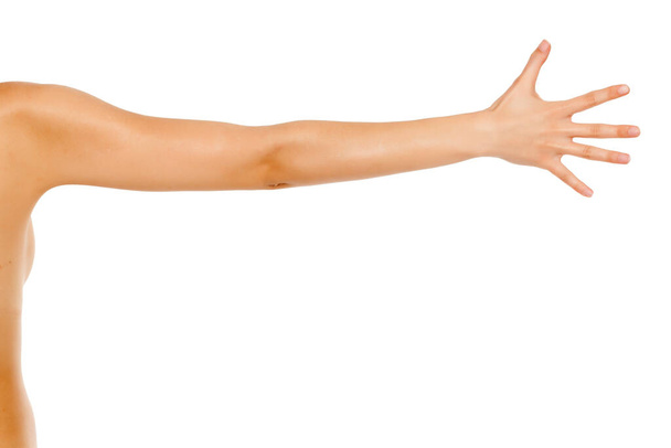 whole female arm on white background - Photo, Image