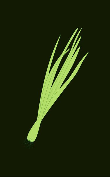 Spring Sprouting onion isolated on black background. Lined vector illustration. Fresh green food - Vektori, kuva