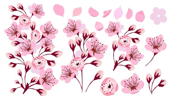 Sakura çiçekleri. Bir takım eşyalar. Vektör illüstrasyonu - Vektör, Görsel