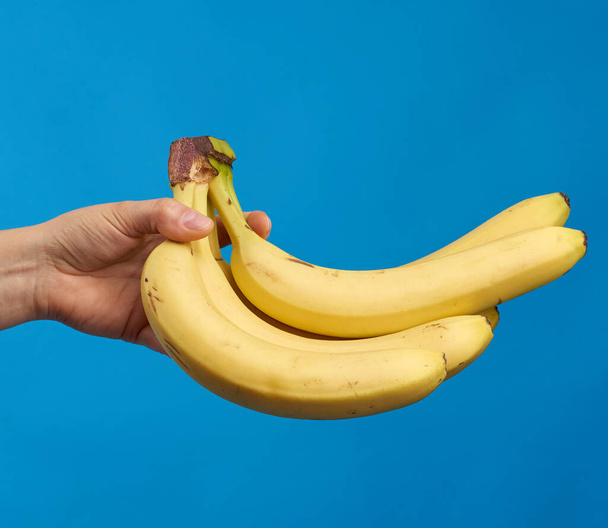 mão feminina segura uma banana madura amarela em um fundo azul, fruta deliciosa
 - Foto, Imagem