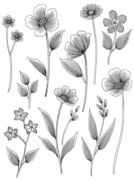 Kézzel rajzolt virágok és levelek, Paisley stílus, fehér háttér - Fotó, kép