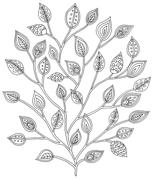 Fleurs et feuilles dessinées à la main, Style Paisley, fond blanc
 - Photo, image