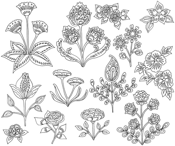 Hand-drawn flowers and leaves, Paisley Style, white background - Photo, Image