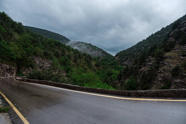 Asphalt road through the mountains forest in rainy season. Road in the spring forest in rain. Perfect asphalt mountain road in overcast rainy day. - Photo, Image