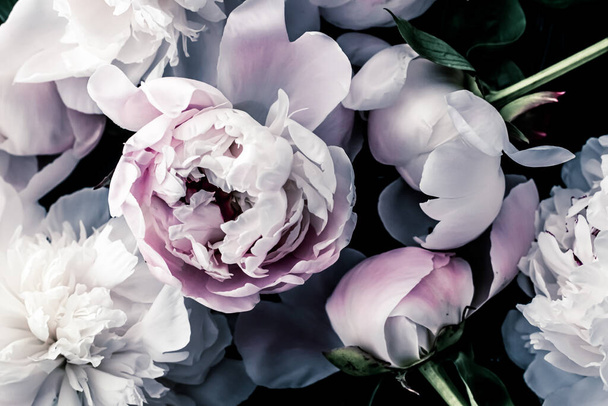 Flores de peonía pastel como fondo de arte floral, flatlay botánico y marca de lujo
 - Foto, Imagen