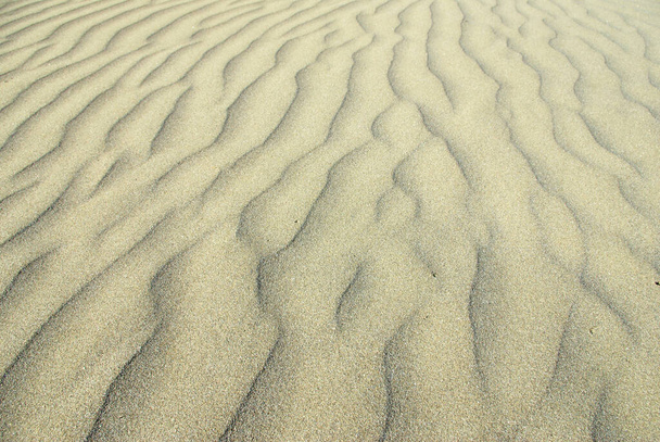 ondulaciones de arena en la luz del amanecer; sugiriendo relajación y meditación
 - Foto, imagen