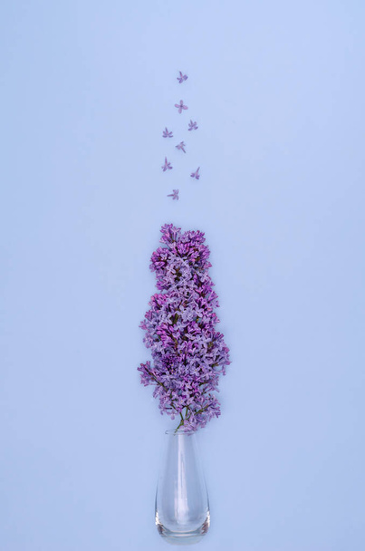 Flat composition of a bouquet of lilacs and flowers in a glass vase on a light blue background. Flat lay, vertical background, selective focus, copy space - 写真・画像