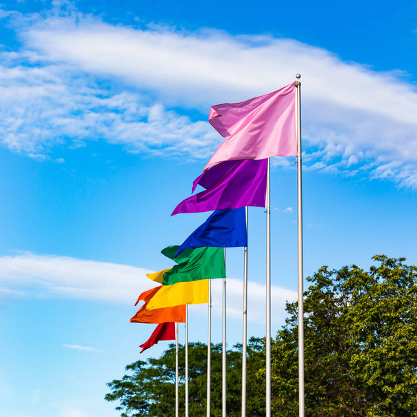 Радужные флаги машут. LGBT Rainbow гордится красочными флагами на голубом фоне неба. Селективный фокус
. - Фото, изображение