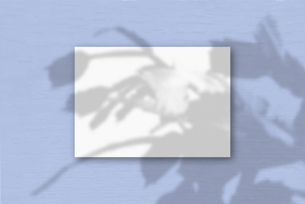 Uma folha A4 horizontal de papel texturizado branco no fundo da parede azul. Mockup se sobrepõe às sombras das plantas. A luz natural lança sombras de um zygocactus. Orientação horizontal
 - Foto, Imagem