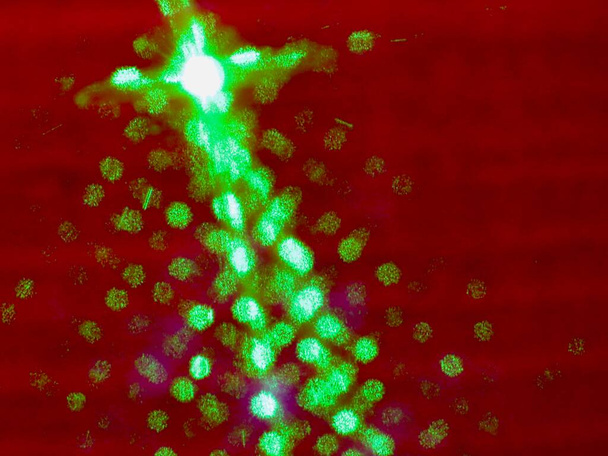 Green laser light on red - Photo, Image