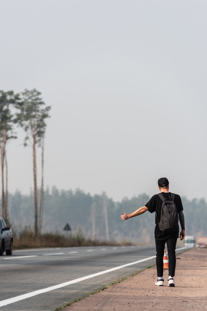 Вид сзади человека с рюкзаком на дороге возле зеленых деревьев
  - Фото, изображение