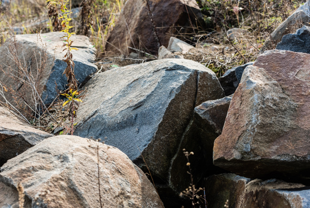foco seletivo de rochas perto de plantas no solo
  - Foto, Imagem
