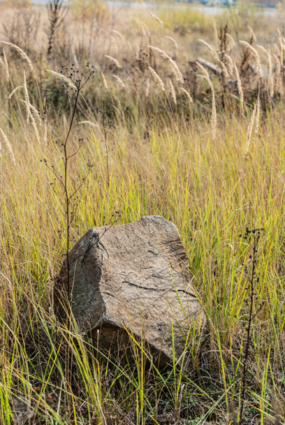 Stein auf dem Boden in der Nähe von grünem Gras im Feld  - Foto, Bild