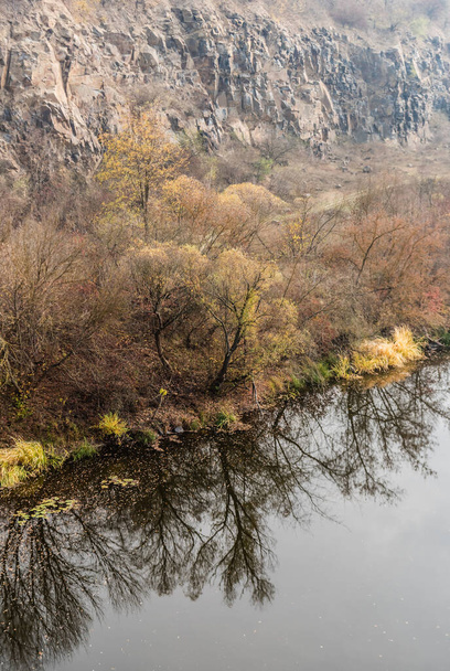 reflet des arbres dans le lac avec de l'eau claire  - Photo, image
