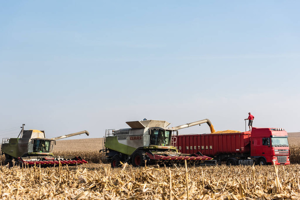 LVIV, UKRAINE - OCTOBER 23, 2019: farmers in tractors harvesting wheat against blue sky  - Photo, Image