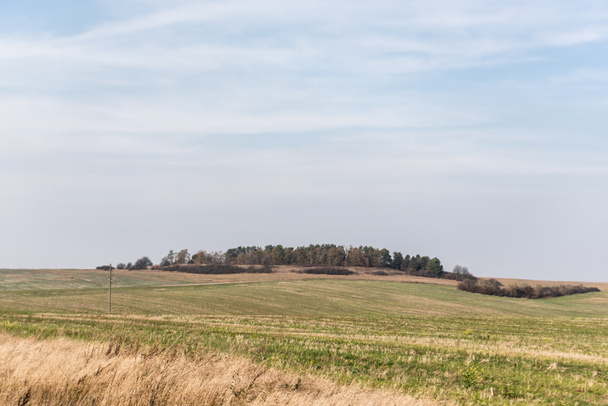 campo dourado gramado verde e gramado contra o céu azul
  - Foto, Imagem