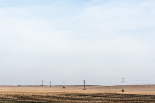 elektriciteitsleiding bij gouden veld tegen blauwe lucht  - Foto, afbeelding