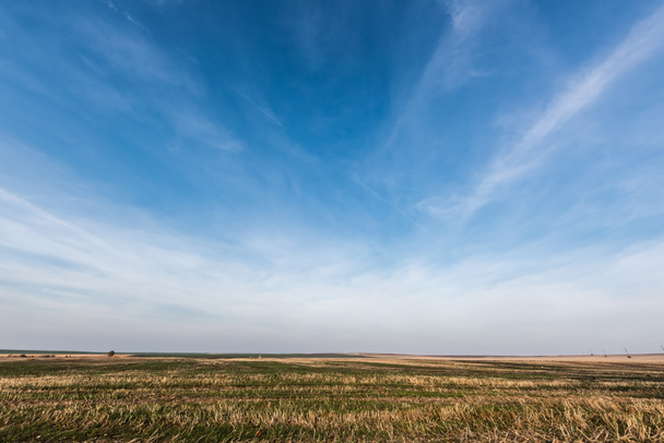 Rasenrasen gegen blauen Himmel mit Wolken - Foto, Bild