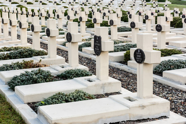 LVIV, UKRAINE - OCTOBER 23, 2019: graves with crosses and lettering near green plants on lviv defenders cemetery  - Zdjęcie, obraz