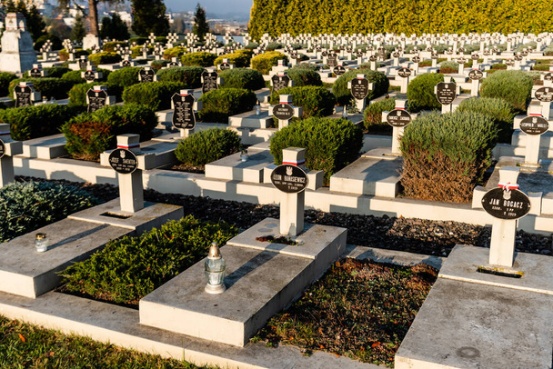 LVIV, UKRAINE - OCTOBER 23, 2019: sunlight on graves with crosses and lettering near green plants on lviv defenders cemetery  - Photo, Image