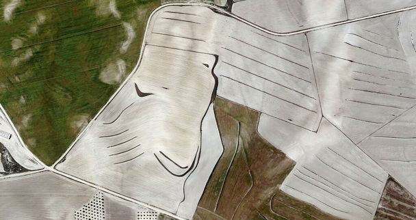 Il silenzio degli agnelli, omaggio a Picasso, fotografia astratta dei campi spagnoli dall'alto, veduta aerea, rappresentazione dei campi di lavoro umani, arte astratta
,  - Foto, immagini