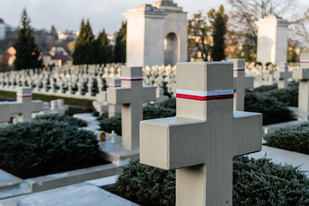 LVIV, UKRAINE - OCTOBER 23, 2019: selective focus of polish graves and stone crosses in lychakiv cemetery in lviv, ukraine - Fotografie, Obrázek