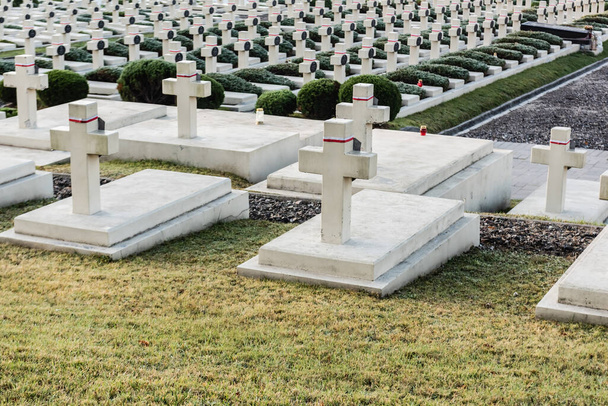 LVIV, UKRAINE - OCTOBER 23, 2019: polish graves and stone crosses in lychakiv cemetery in lviv, ukraine - Фото, зображення