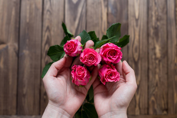 Bir kızın ellerinde kırmızı güller. Sevgiline bir hediye. Sevgililer günü için kart. ilan-ı aşk. - Fotoğraf, Görsel