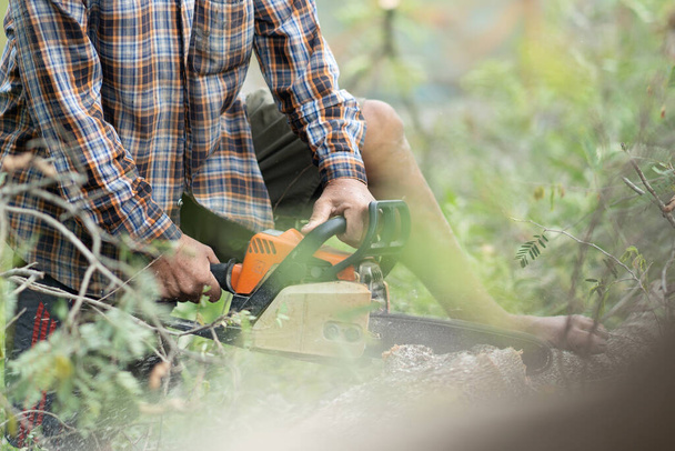 man cutting trees using an electrical chainsaw and professional tools - Photo, Image