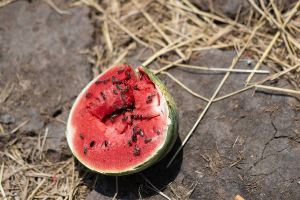 Cracked watermelon , A pile of rubbish full of watermelons - Photo, Image