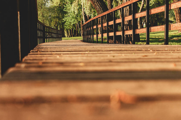 wooden bridge in the forest sunlight morning - Foto, Imagen