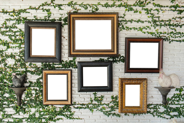 Empty picture frames on the wall with ivy wall crawler - Photo, Image