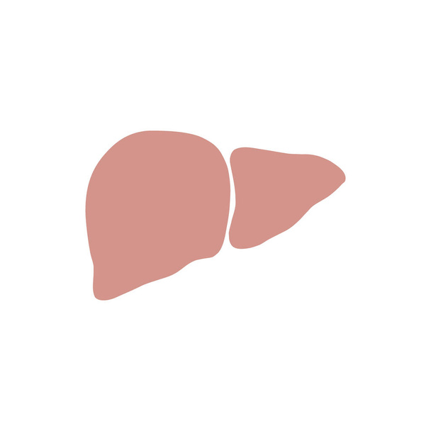 Icono de hígado en estilo plano de moda aislado sobre fondo blanco. Símbolo para el diseño de su sitio web, logotipo, aplicación, interfaz de usuario. Ilustración vectorial, EPS
 - Vector, Imagen