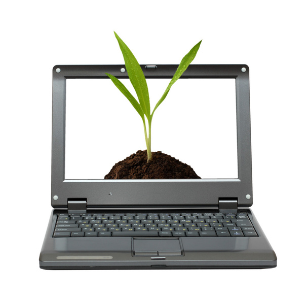 Laptop with green sprout - Valokuva, kuva
