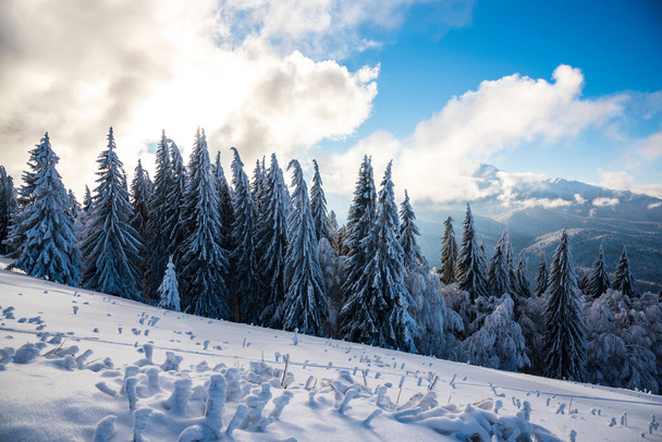 зимовий пейзаж у горах
 - Фото, зображення