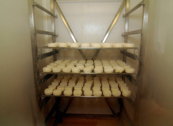Skladování a zrání sýrů, výroba potravin v mlékárenském průmyslu - Fotografie, Obrázek