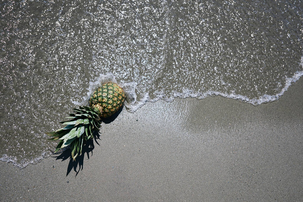 ananas na pláži je zasažen vlnami moře. Koncept dovolené, odpočinku, relaxace - Fotografie, Obrázek