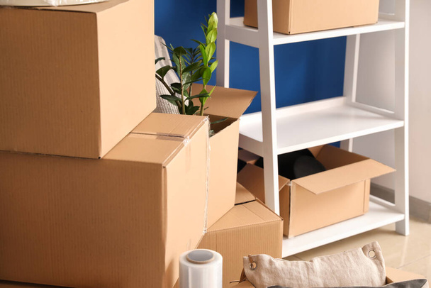 Χάρτινα κουτιά με αντικείμενα σε νέο διαμέρισμα κατά την ημέρα κίνησης - Φωτογραφία, εικόνα