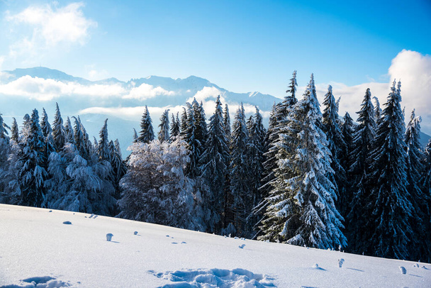 Winter landscape in the mountains - Fotoğraf, Görsel