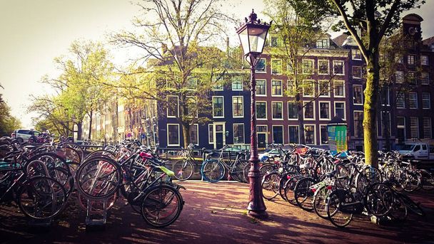 Grupo de bicicletas en Amsterdam, Países Bajos
 - Foto, imagen