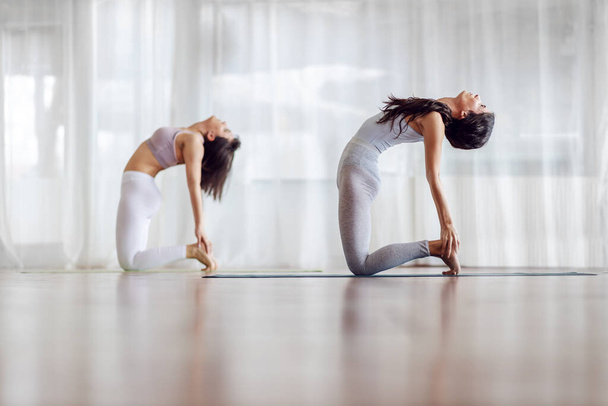 Vista lateral de duas meninas caucasianas em posição Camel ioga. Interior do estúdio de Yoga
. - Foto, Imagem