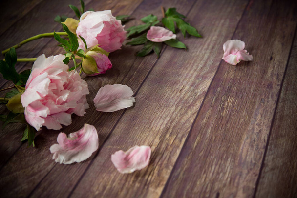 beautiful blooming peonies with petals on a wooden table - Zdjęcie, obraz