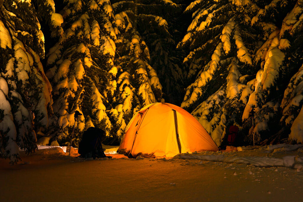 Tourist yellow tent with a lamp inside among snowy trees - 写真・画像