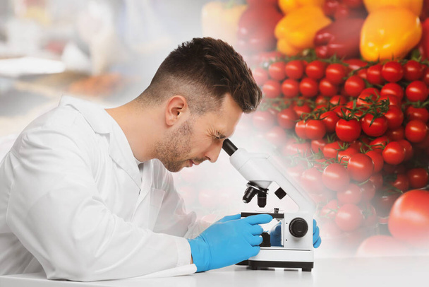 Scientist using modern microscope at table in laboratory. Food quality analysis - Valokuva, kuva