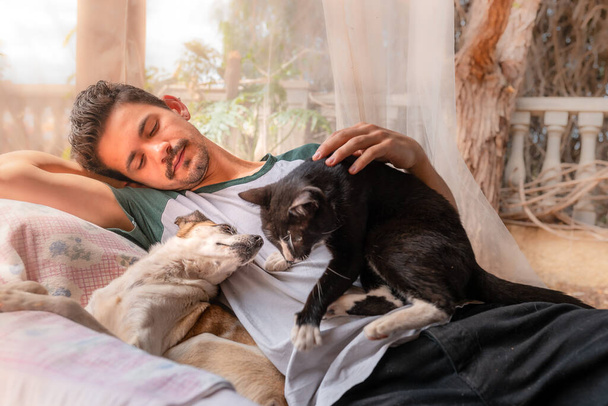 Młody człowiek śpi w fotelu pod moskitierą. Obok niego, pies i czarny kot wąchają się nawzajem. - Zdjęcie, obraz