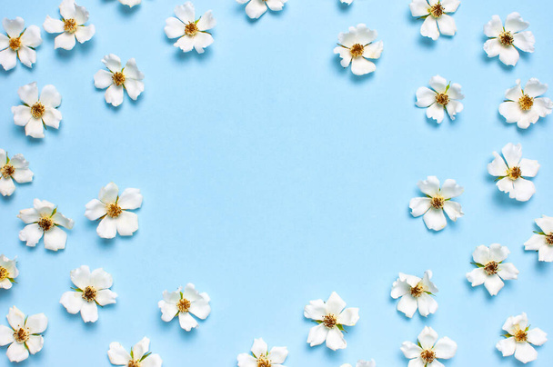 Cadre de belles fleurs blanches de printemps sur fond bleu plat lay top view copy space. Printemps nature fond. Printemps concept d'été fleurs composition floraison fleurs délicates. Modèle de fleur
 - Photo, image