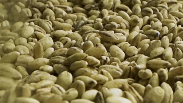 焙煎されていないコーヒー豆の背景を閉じます。ストック映像だ。飲み物の準備のための多くの緑のローストされていないエチオピアのコーヒー種の山. - 映像、動画