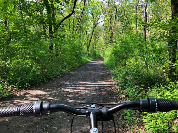 view from bike wheel on green forest tail. Bicycle ride in deep summer forest. Healthy lifestyle concept. Outdoor activities in summer - Photo, Image
