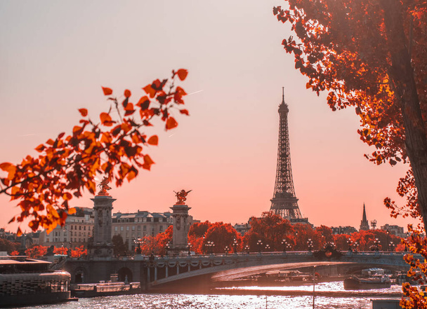 Urban landscape with the Eiffel tower and the river Seine at sunset Retro style - Photo, Image